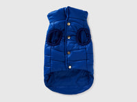 Casaco acolchoado azul bluette para cães - ucb_image_BS