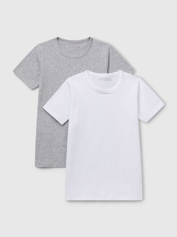 Duas t-shirts em algodão orgânico stretch Menino
