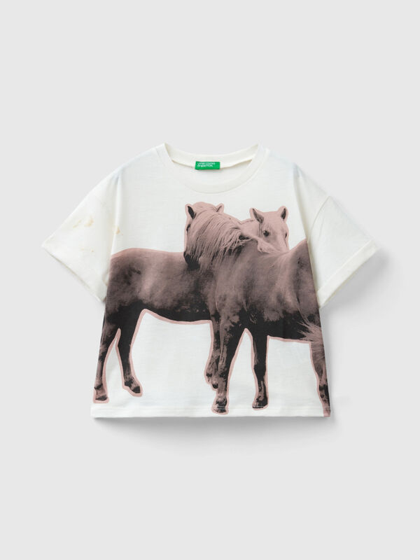 T-shirt com estampado fotográfico cavalos Menina