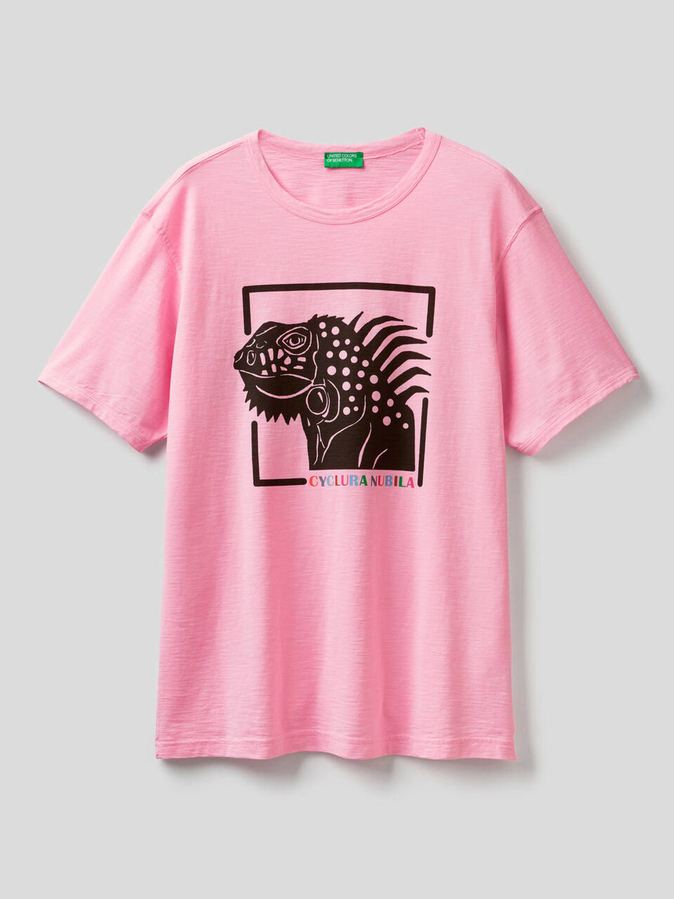 T-shirt em algodão puro com estampa image number 1