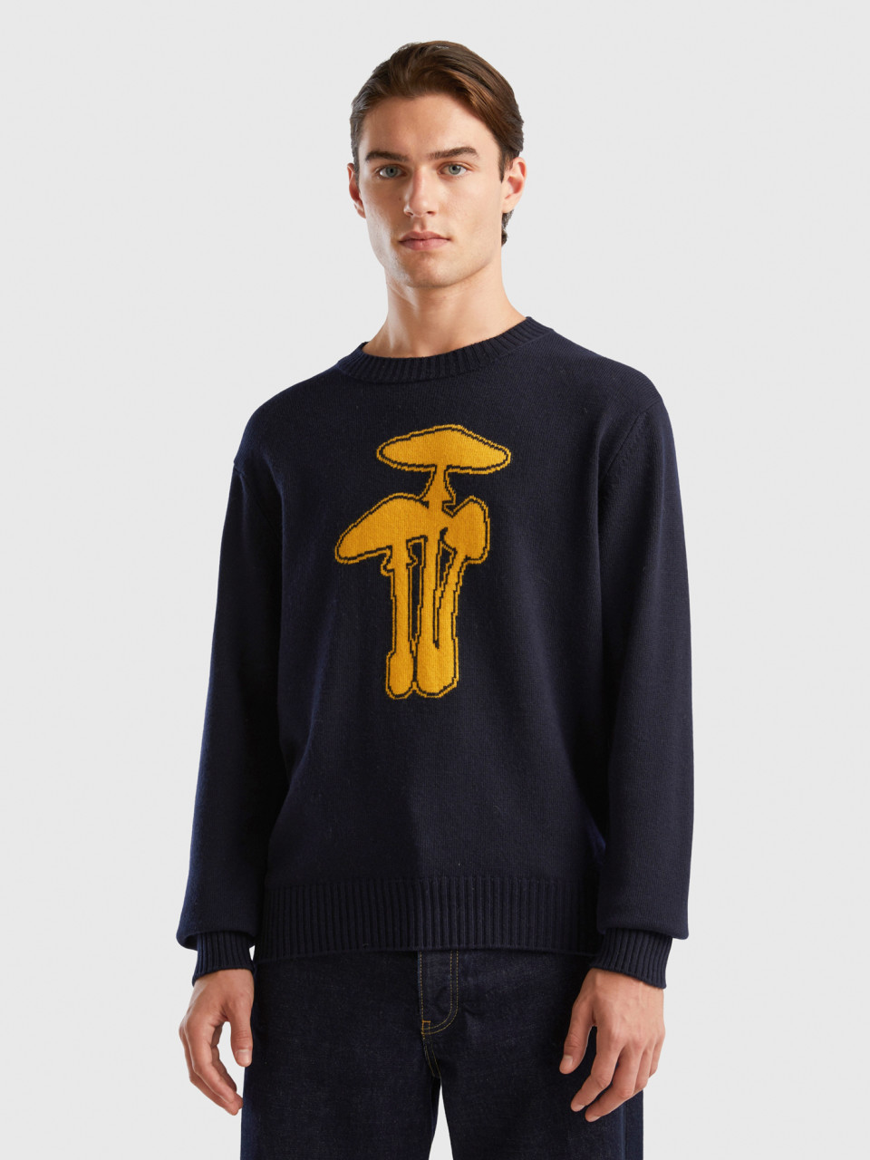Benetton, Sweater With Mushroom Inlay, Dark Blue, Men