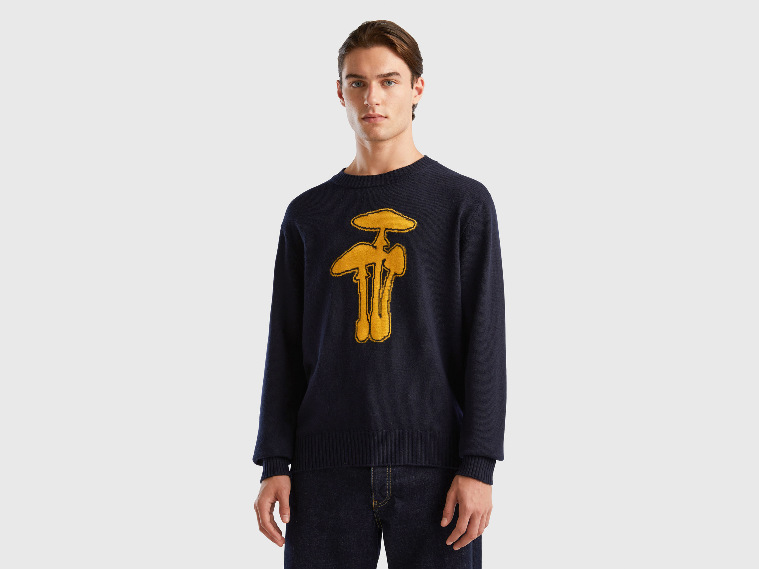 Benetton, Sweater With Mushroom Inlay, size S, Dark Blue, Men